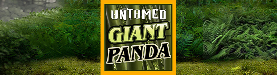 Untamed Giant Panda Slot