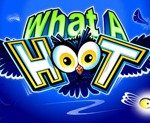 What A Hoot Crazy Owl Themed Slots Online