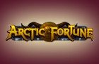 Arctic Fortune Slot