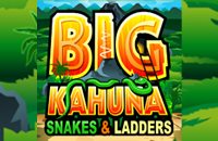 big kahuna snakes and ladders