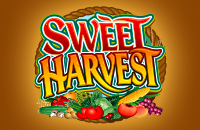 Sweet Harvest Online Slots Game