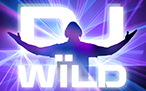 DJ-wild