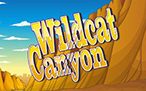 Wild Cat Canyon Slot Online