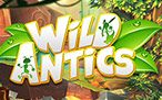 wild-antics