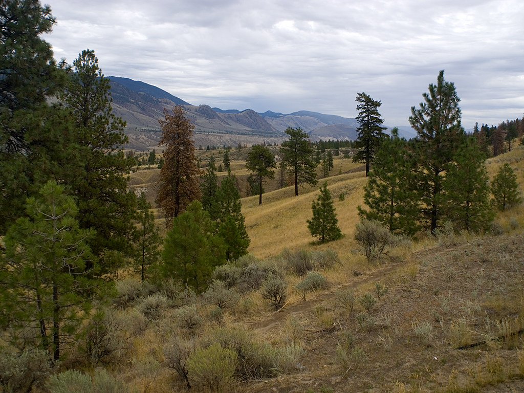 1 Image of Croydon in British Columbia