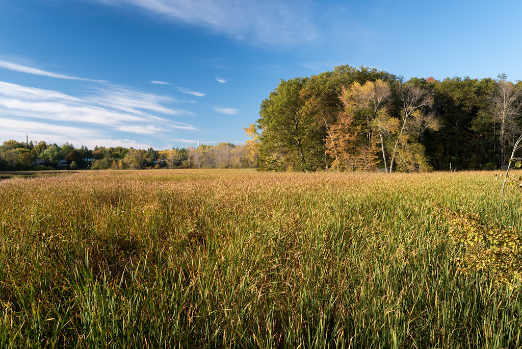 1 Image of West Island in Ontario