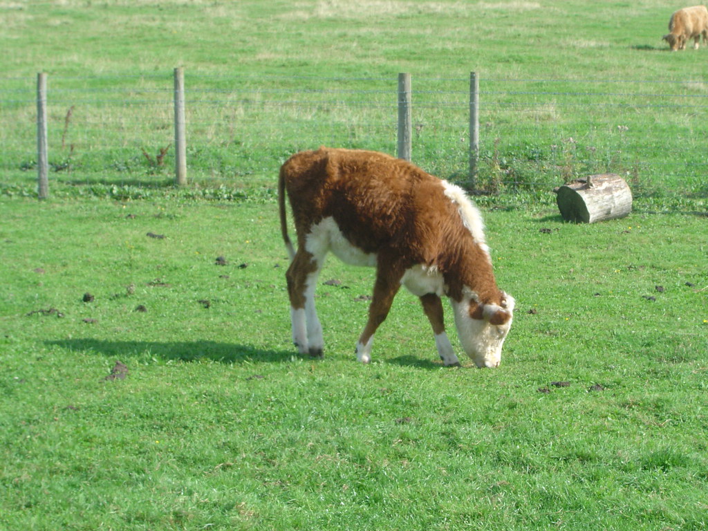 local scene near YateleySlot Machines Rainbow Riches