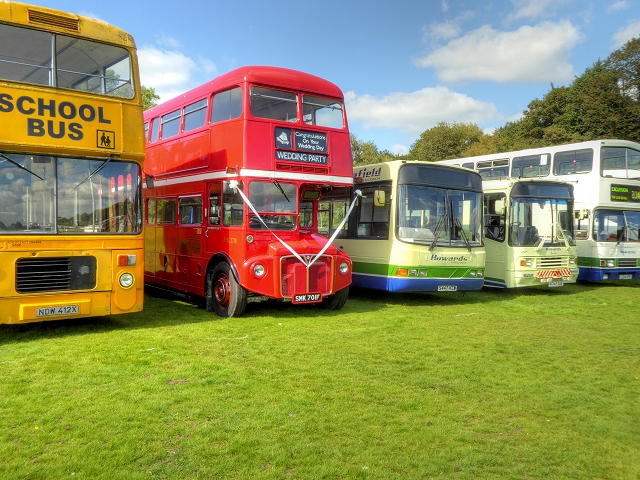 local scene near MillwallSlot Machines Animal Kingdom