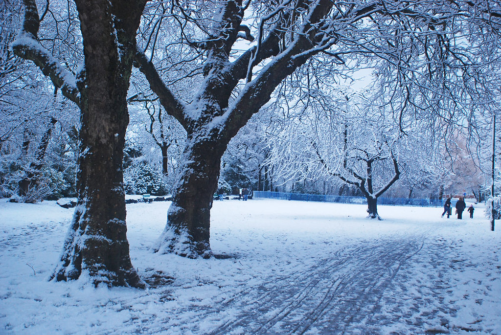 1 Image of Formby in Merseyside