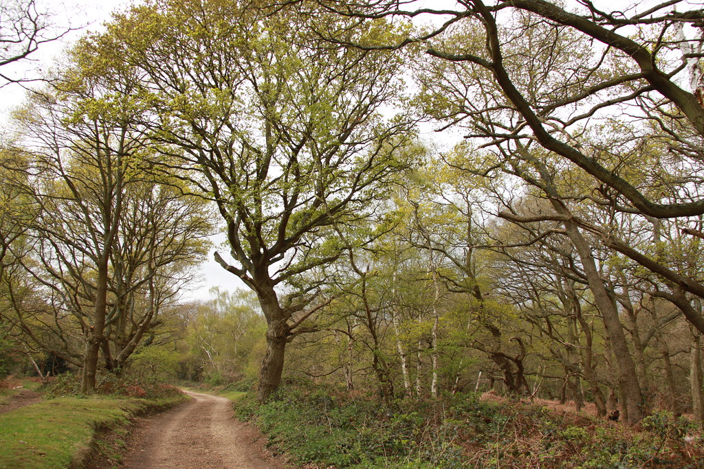 local scene near BarnetSlots with Pay by Mobile Phone