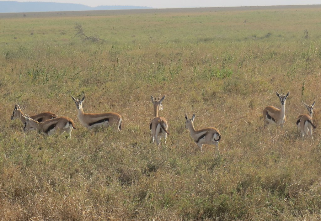 local scene near TynesideJackpot Slot Machines