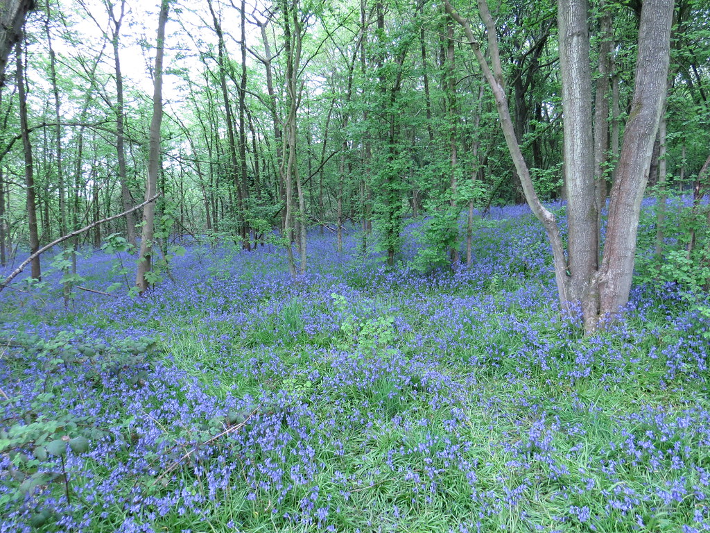Image of Bromsgrove in Worcestershire 1 Image of Bromsgrove in Worcestershire