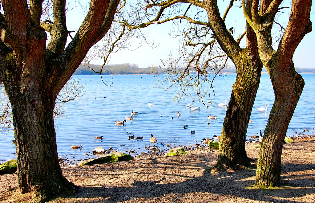 Image of Denton in Greater Manchester 1 Image of Denton in Greater Manchester