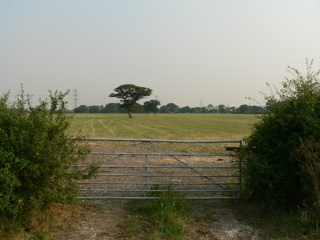 local scene near PenistoneOnline Slot Site Games