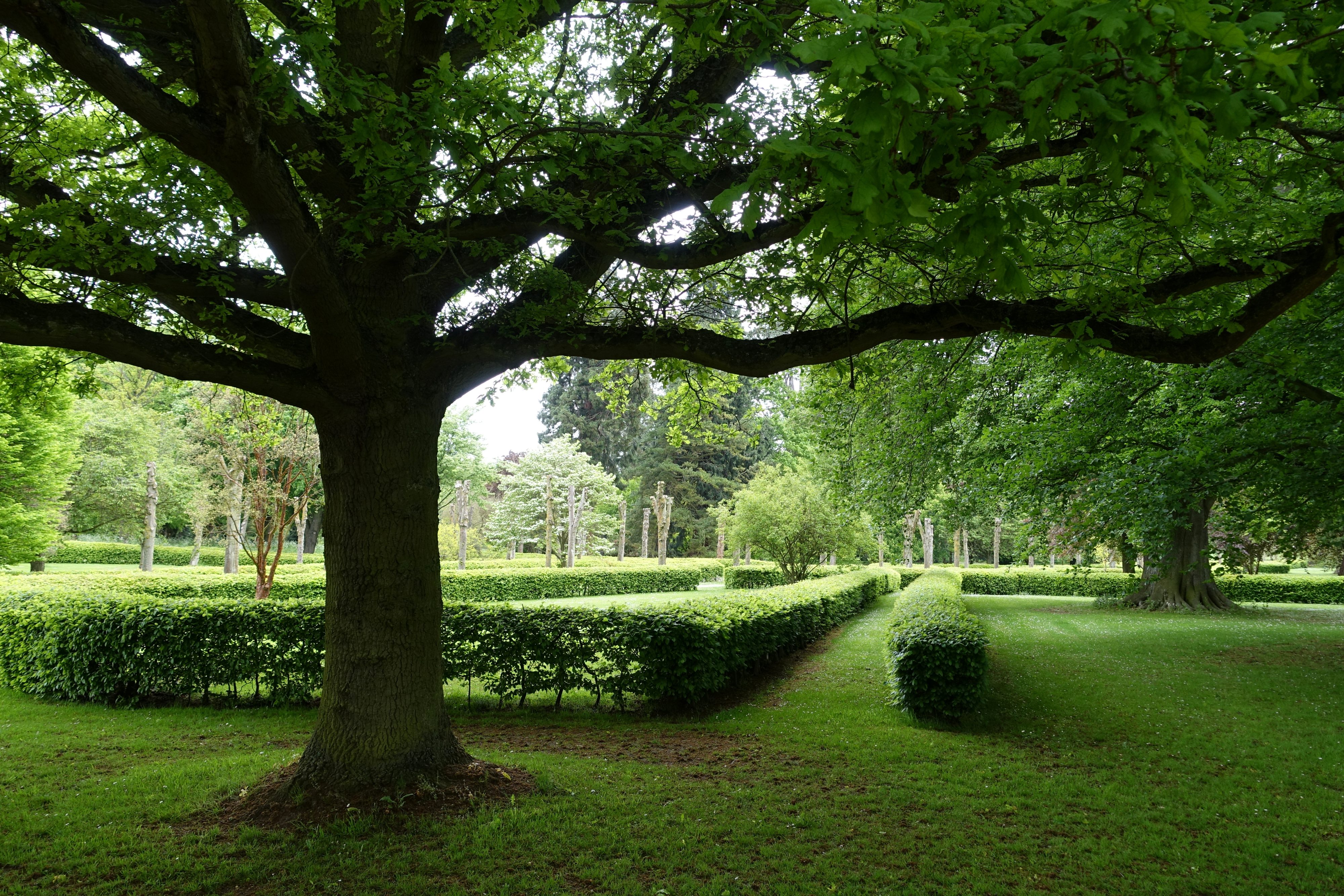 local scene near WellingboroughBest UK Online Slots