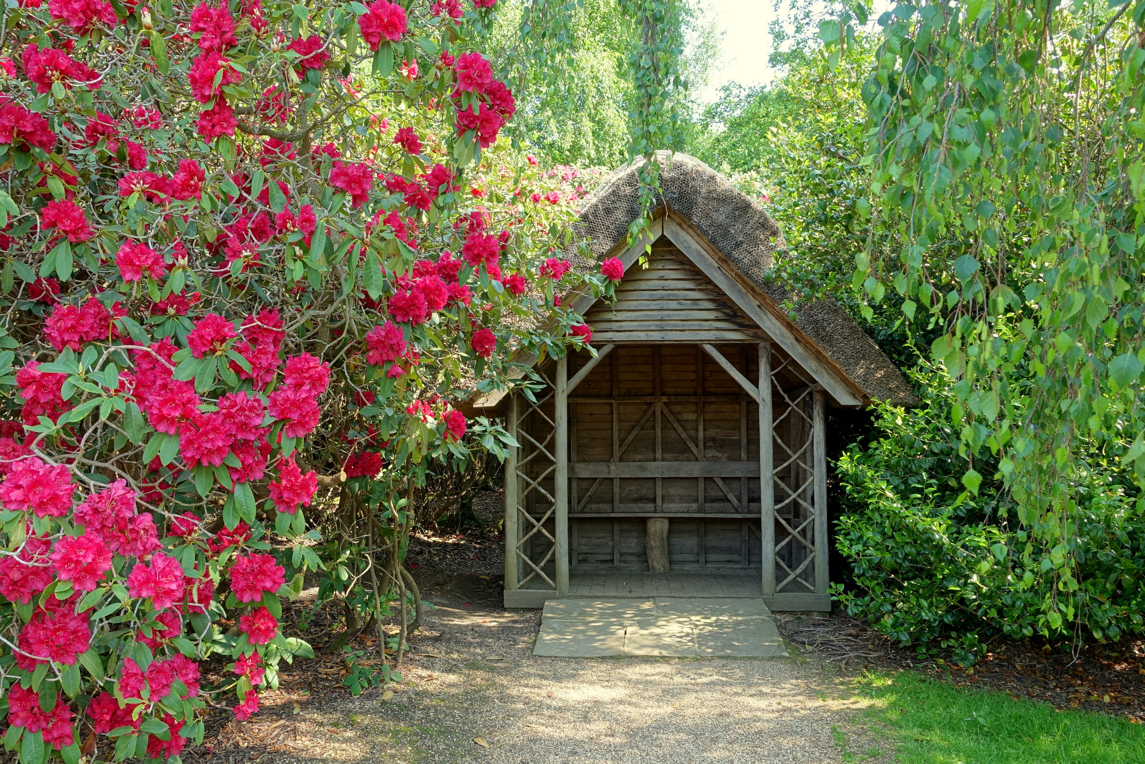 local scene near HailshamBest UK Online Slots