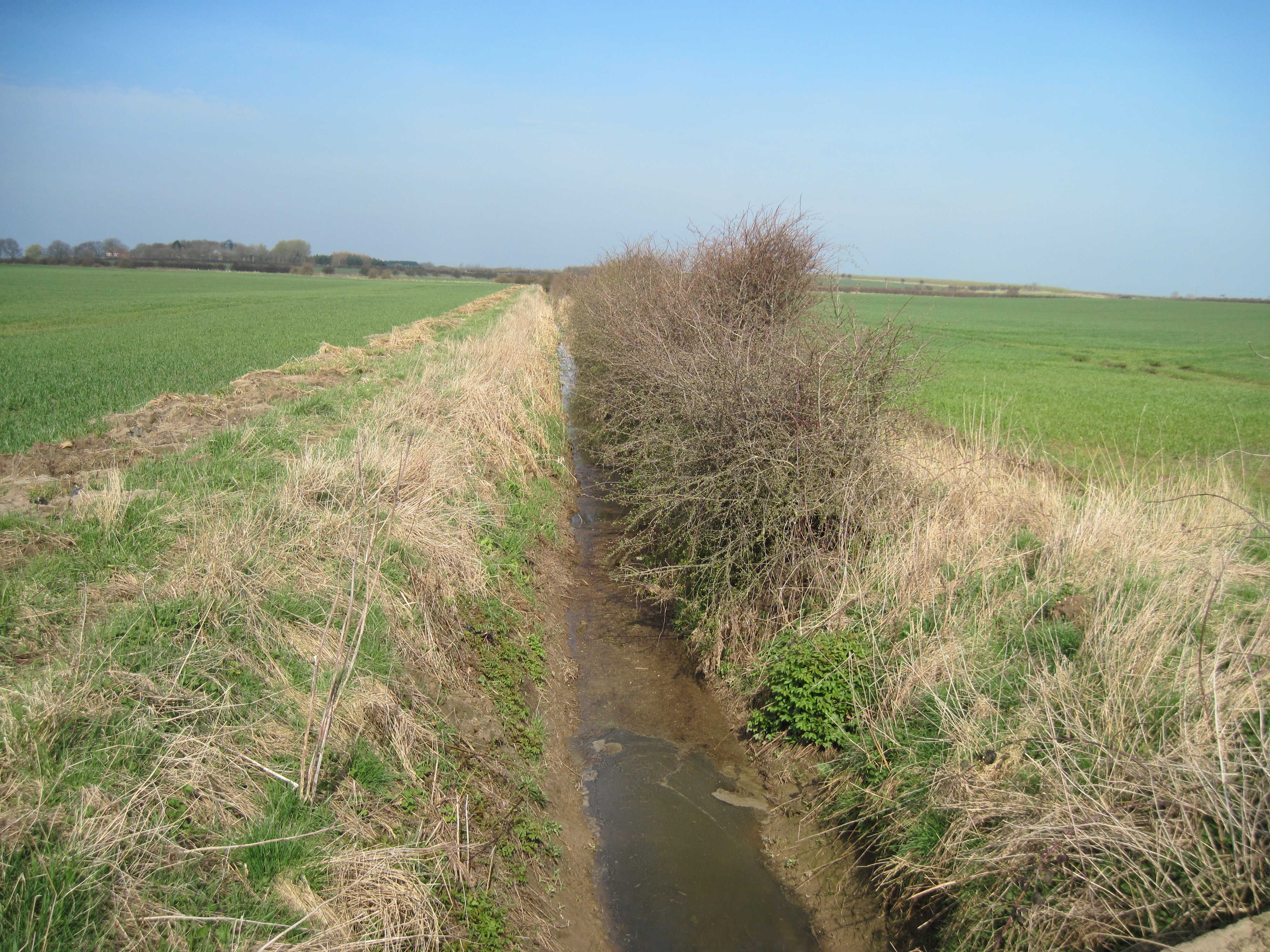 local scene near HighfieldNew Slots Site Games